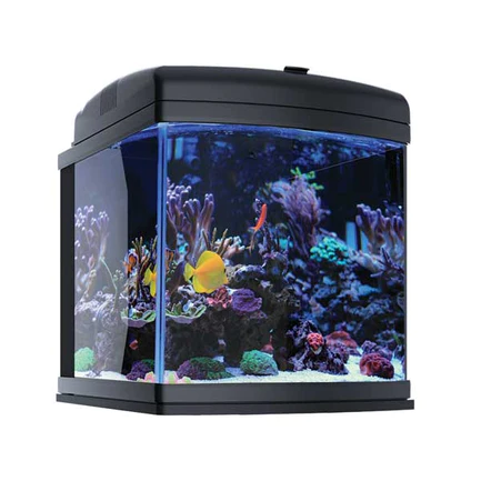JBJ Aquarium 28 Gallon All Inclusive - Image 2