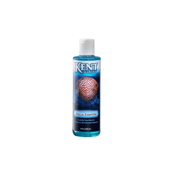 Kent Discus Essential