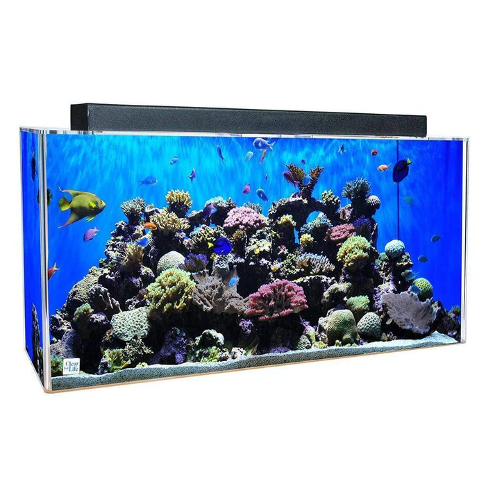 Clear for Life Rectangle 300 Gallon Acrylic Aquarium - Fresh or Saltwater